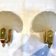 Pair of shell sconces