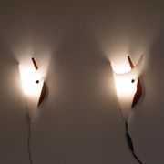 Pair of scandinavian vintage wall lamps in teak and acrylic 1970