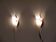Pair of scandinavian vintage wall lamps in teak and acrylic 1970