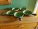 5 cups, Vallauris ceramic pans