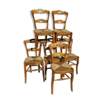 Lot of 6 elm chairs, clear, mulched