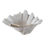 Decorative Triton seashell, boho style, 1980s