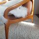 Stella Scandinavian armchair circa 1960