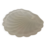 Empty scallop shell baguier