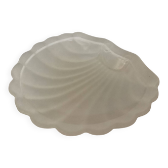 Empty scallop shell baguier