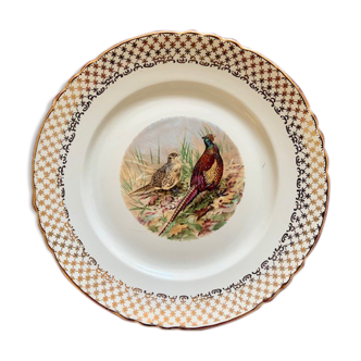 Vintage earthenware plates