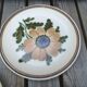 Lot of 4 mismatched plates herbarium vegetable decoration