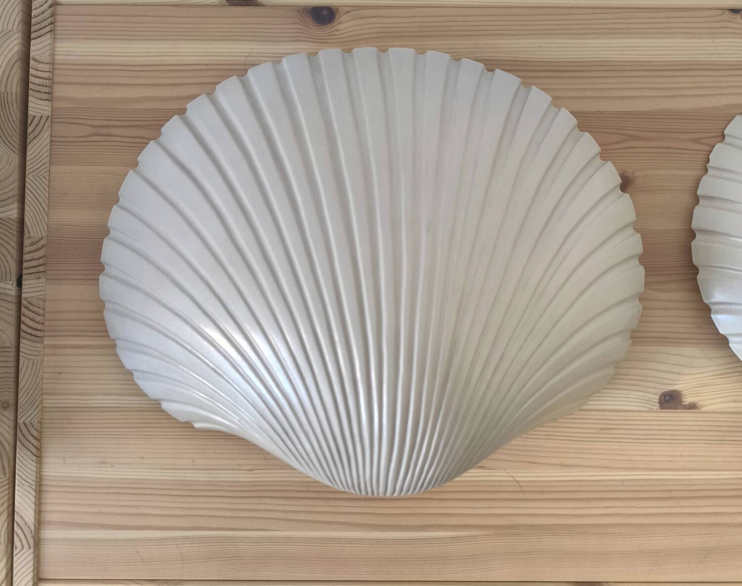 Pair of shell wall lights by Michèle Mahé, 1960s