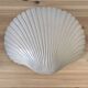 Pair of shell wall lights by Michèle Mahé, 1960s