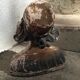 Bust young girl, old plaster