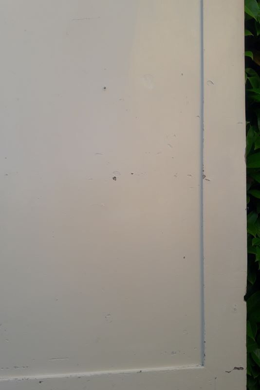 Door 229,2x79,2cm old closet