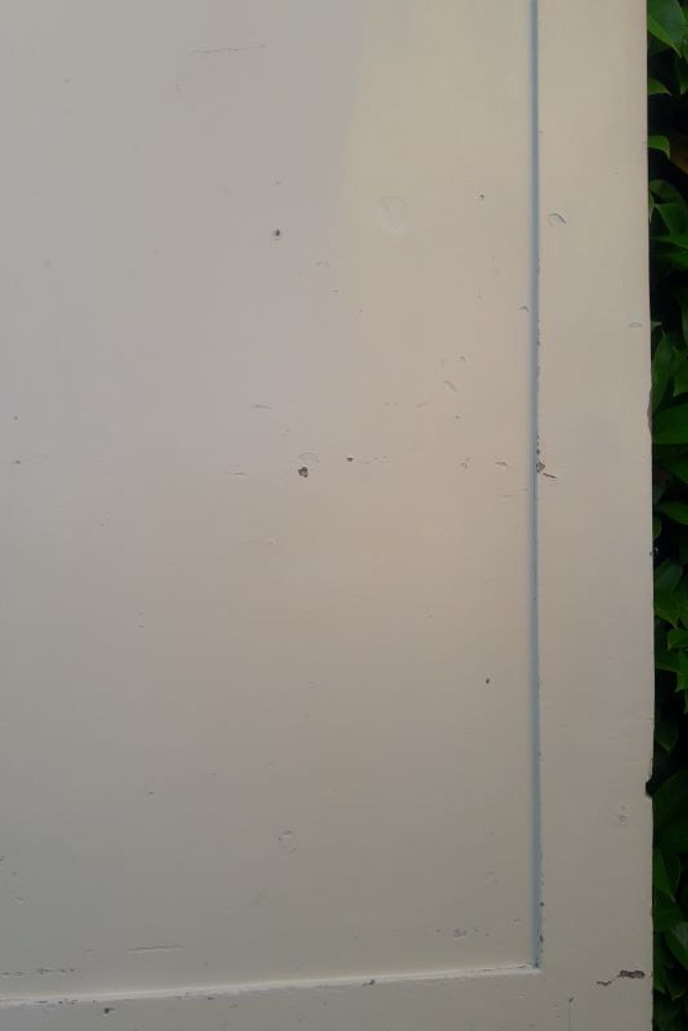 Porte 229,2x79,2cm de placard ancienne