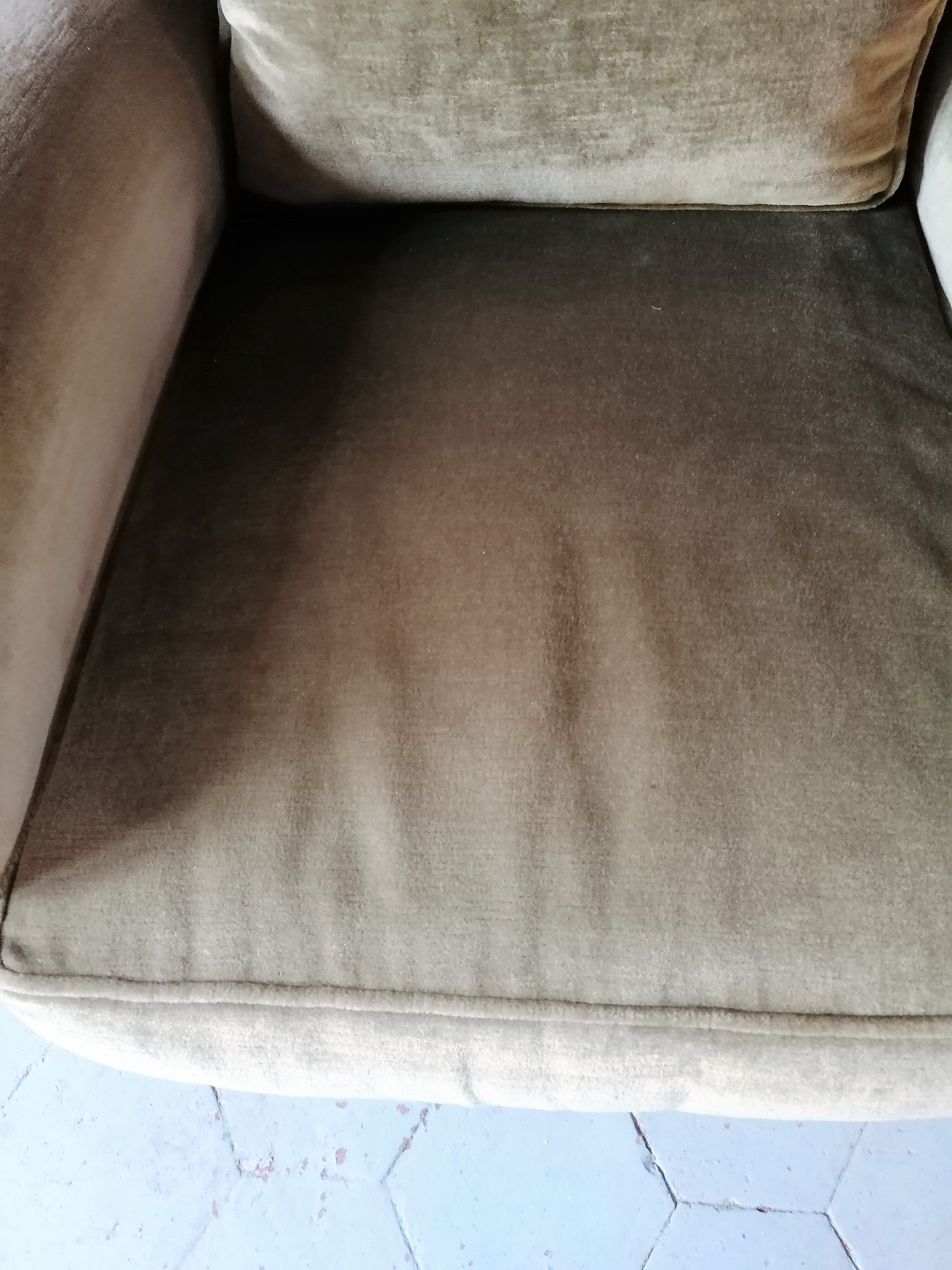Paire de fauteuils en velours "Jean Roche "