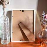 Myrica Gale framed pharmaceutical board