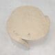 Mactan Stone or Fossil Stone Coffee Table, 1980's