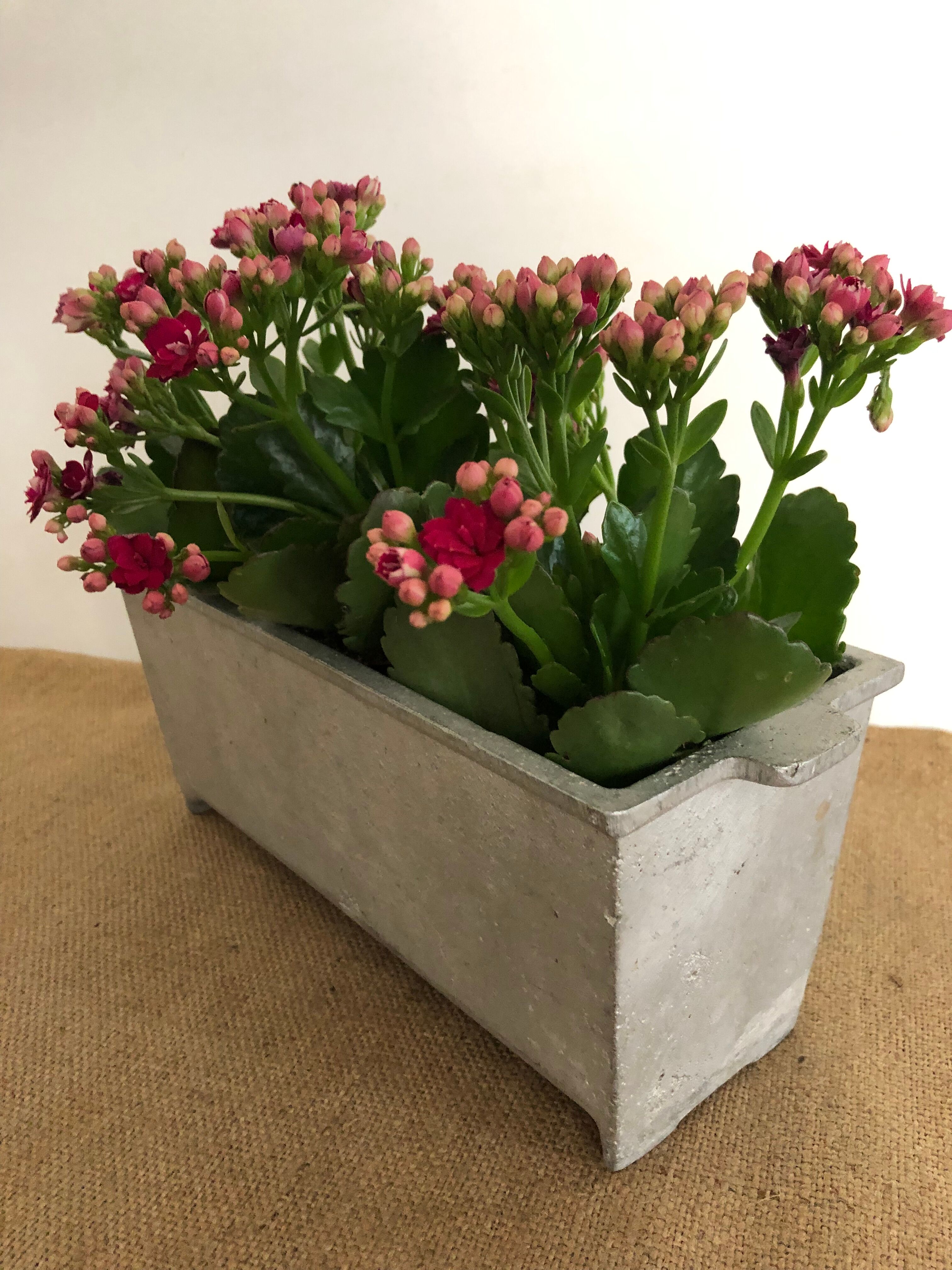 Planter, old cast aluminum mold
