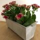 Planter, old cast aluminum mold