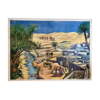 Affiche scolaire éditions rossignol L'oasis-La rizière