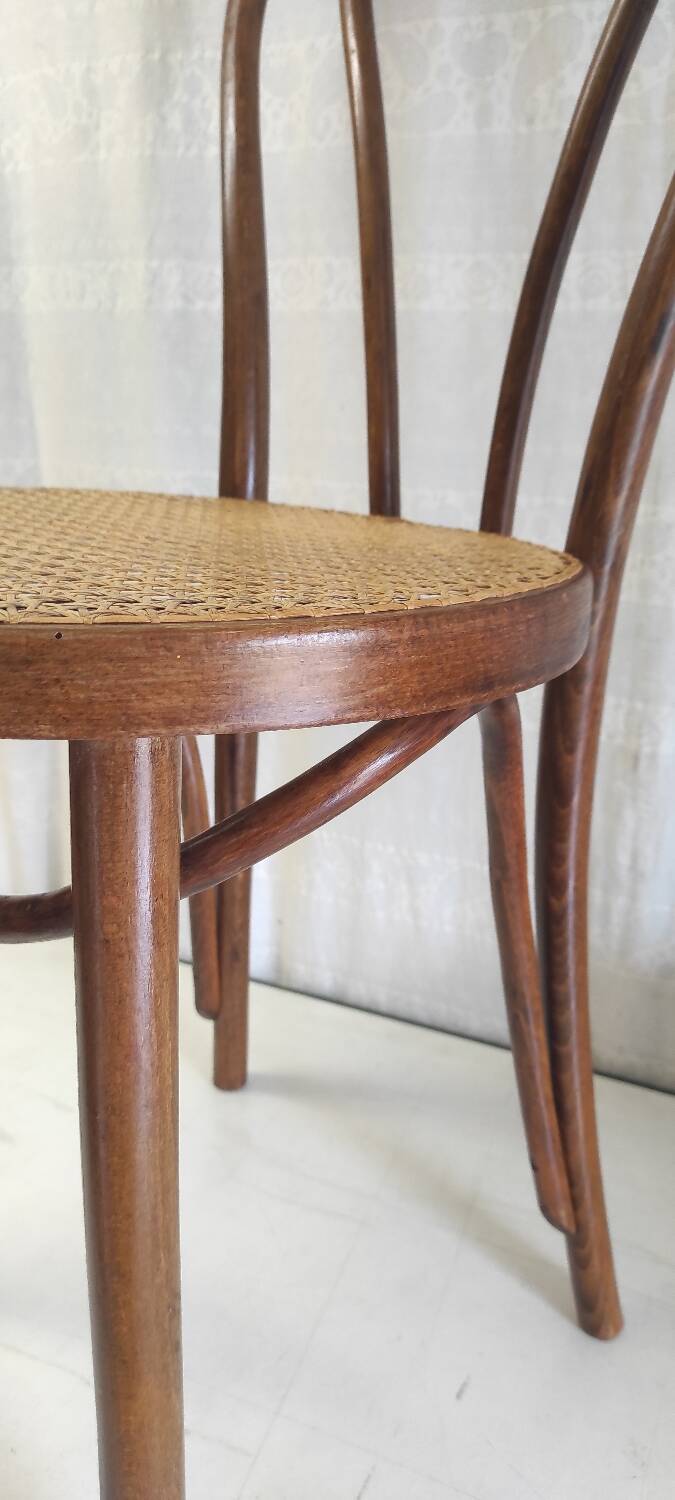 Bistro chair in bentwood and canework - mid. 20th century