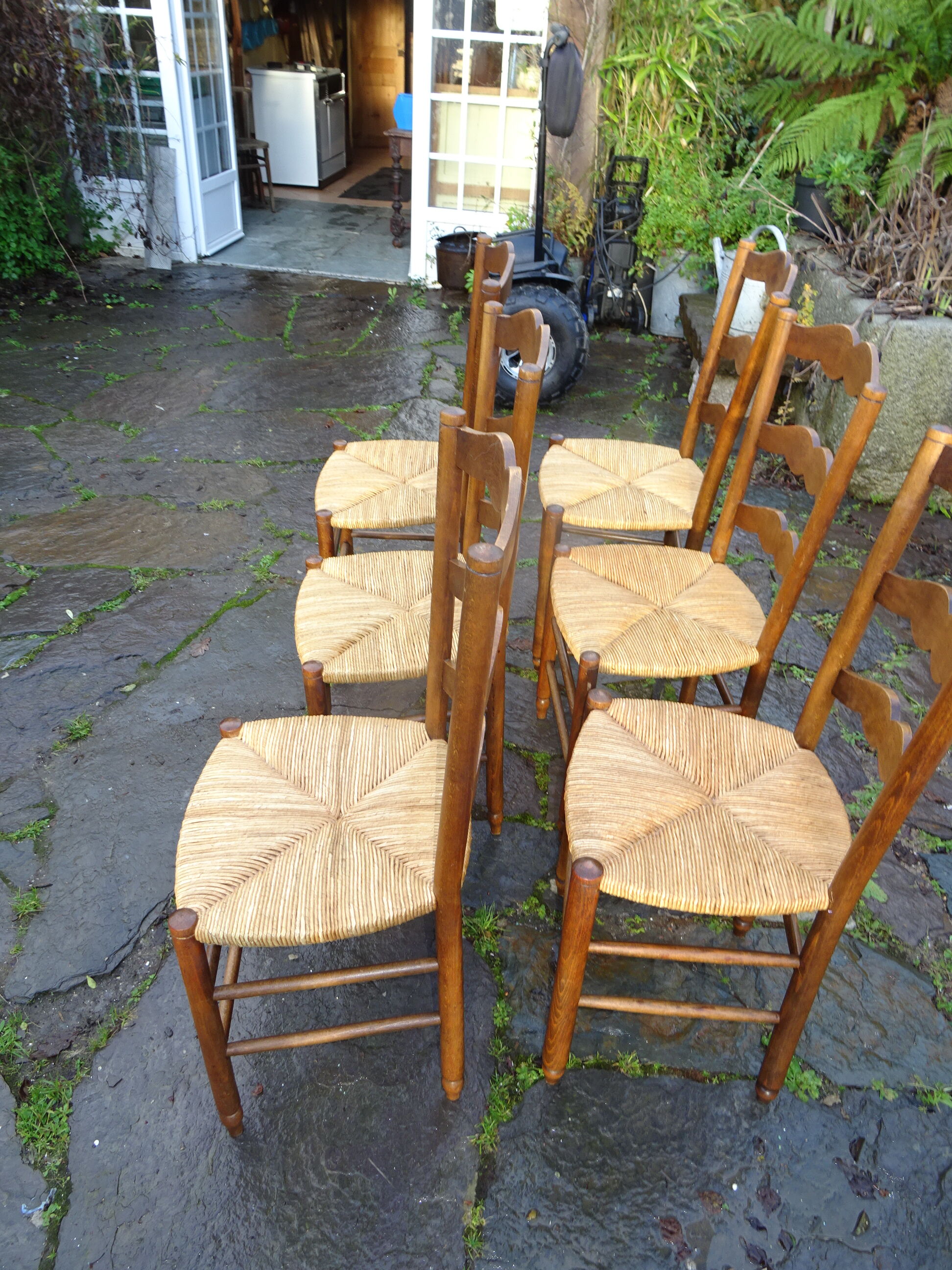 6 peasant chairs