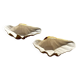 Ceramic shell