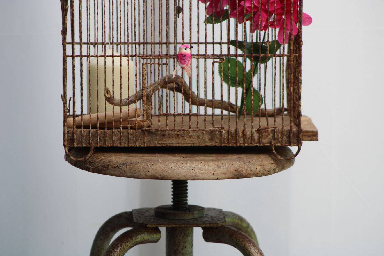Old birdcage
