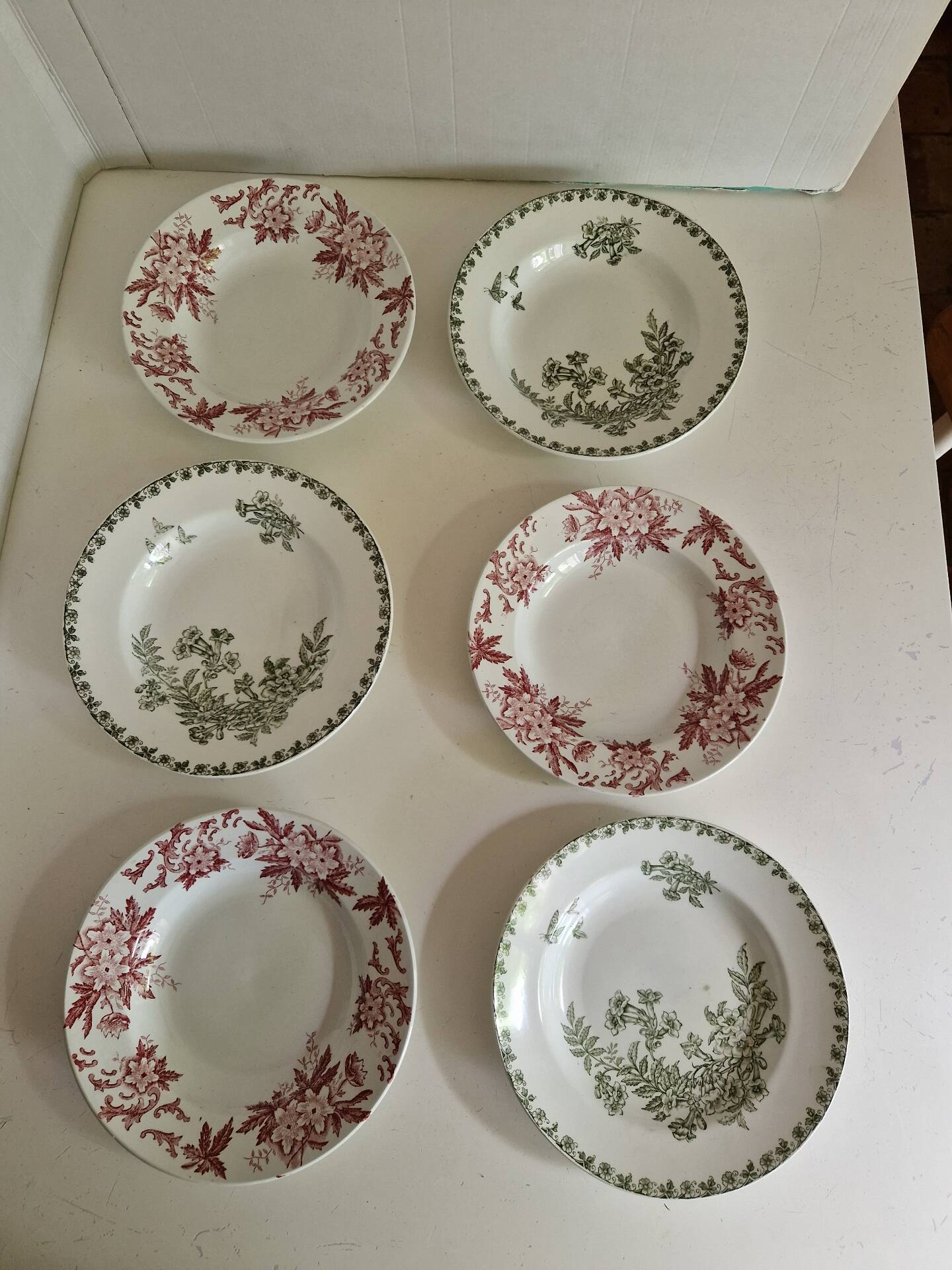 Set of 6 Deep Plates Saint Amand Terre De Fer Anemone Model Den