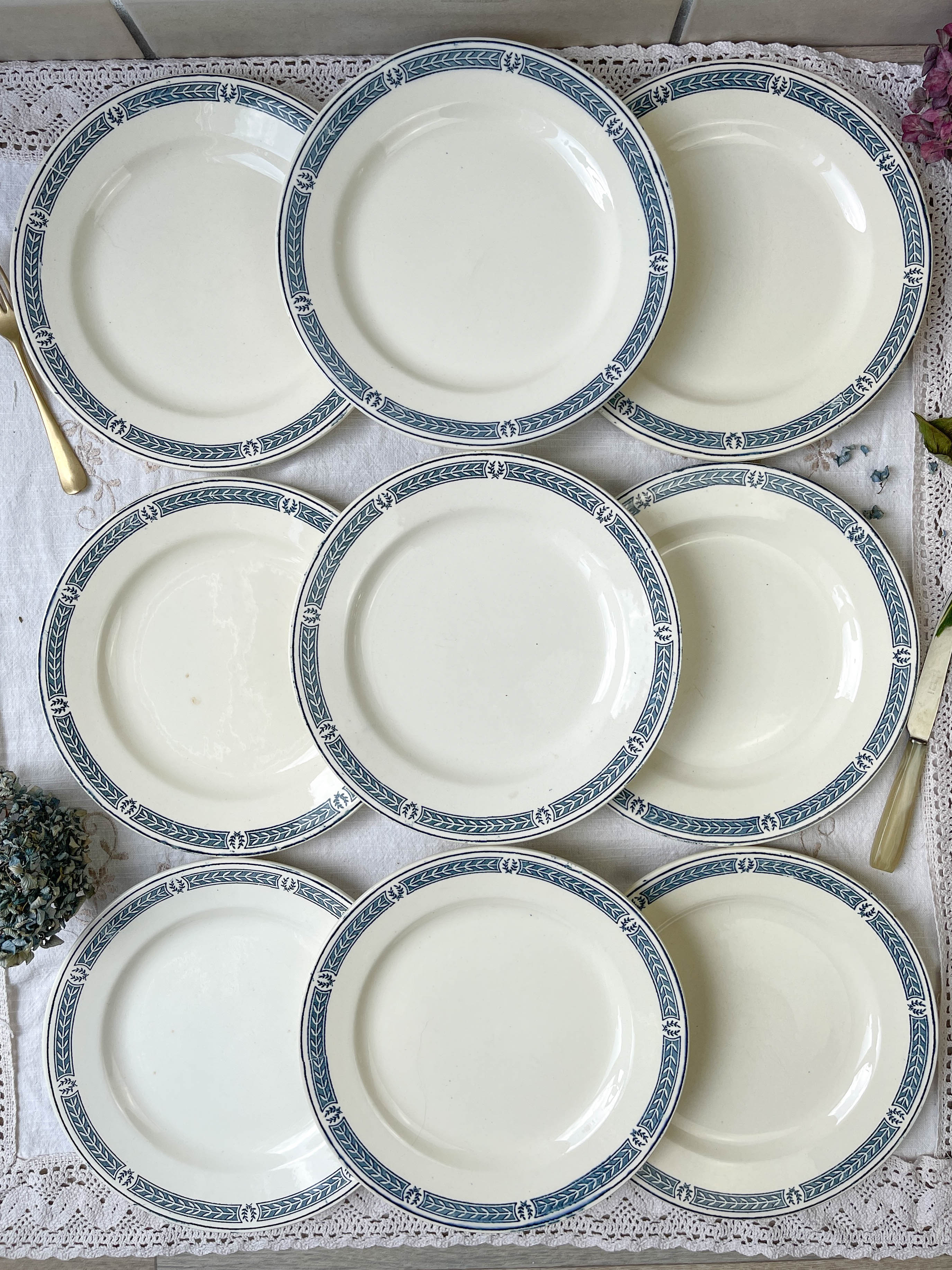 9 vintage flat plates iron earth salins model "castellane"