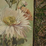 Floral diptych - 69 x 30, 1940