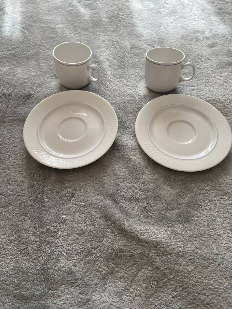 Seltmann Weiden Coffee Cup and Saucer Duo