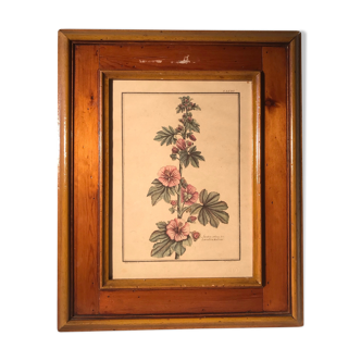 Former LaVATERA MALVONE Tampon Relief Botanical Plank - Vintage Wood Frame