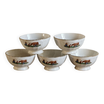 Lot de 5 bols en porcelaine, motif ferme