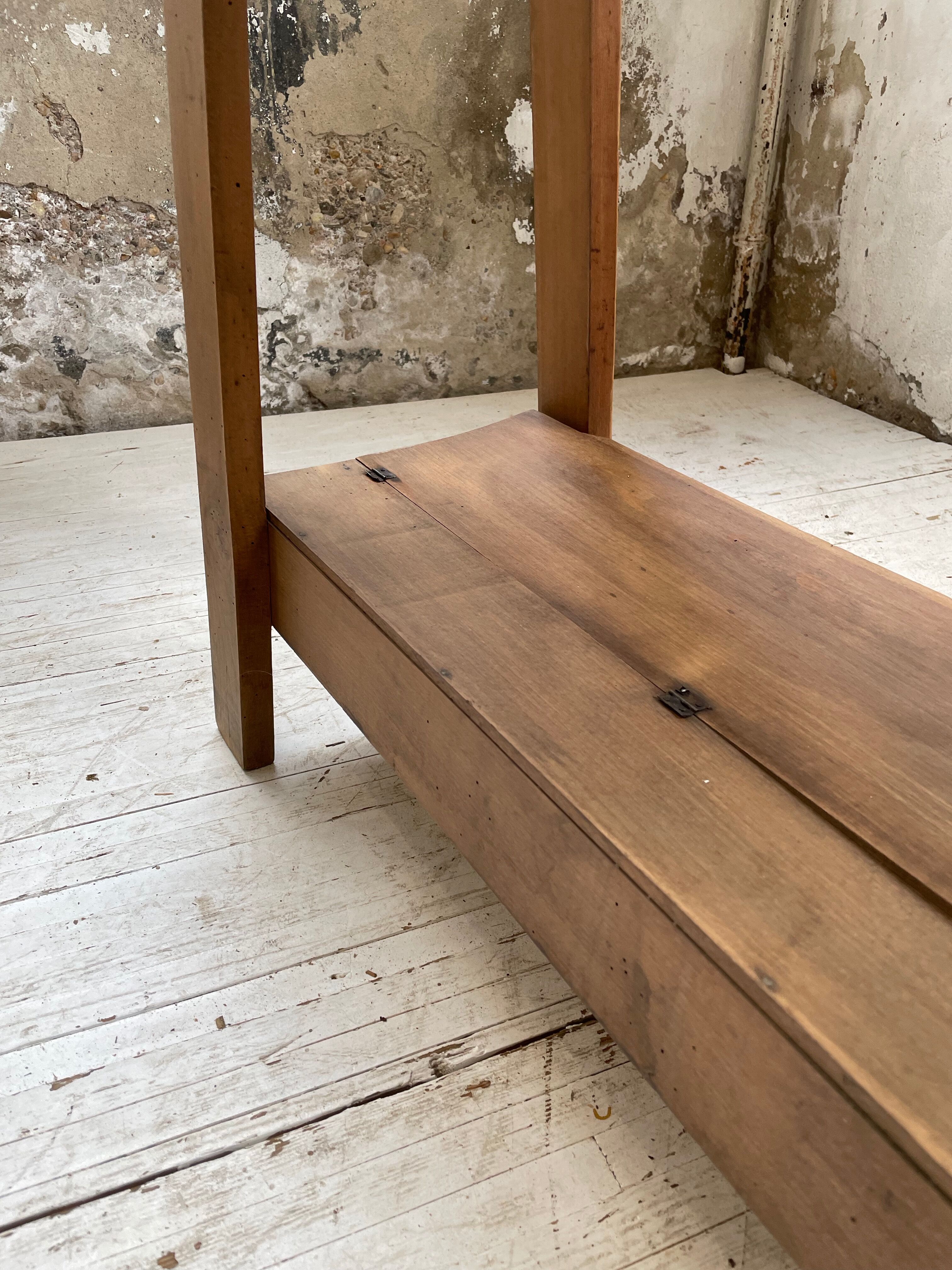 Established XS in cherry tree