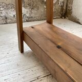 Established XS in cherry tree