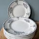 Set of 10 flat plates numbered terre de fer xixème st amand
