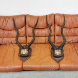 Pair of hunting trophy horn oryx antelope