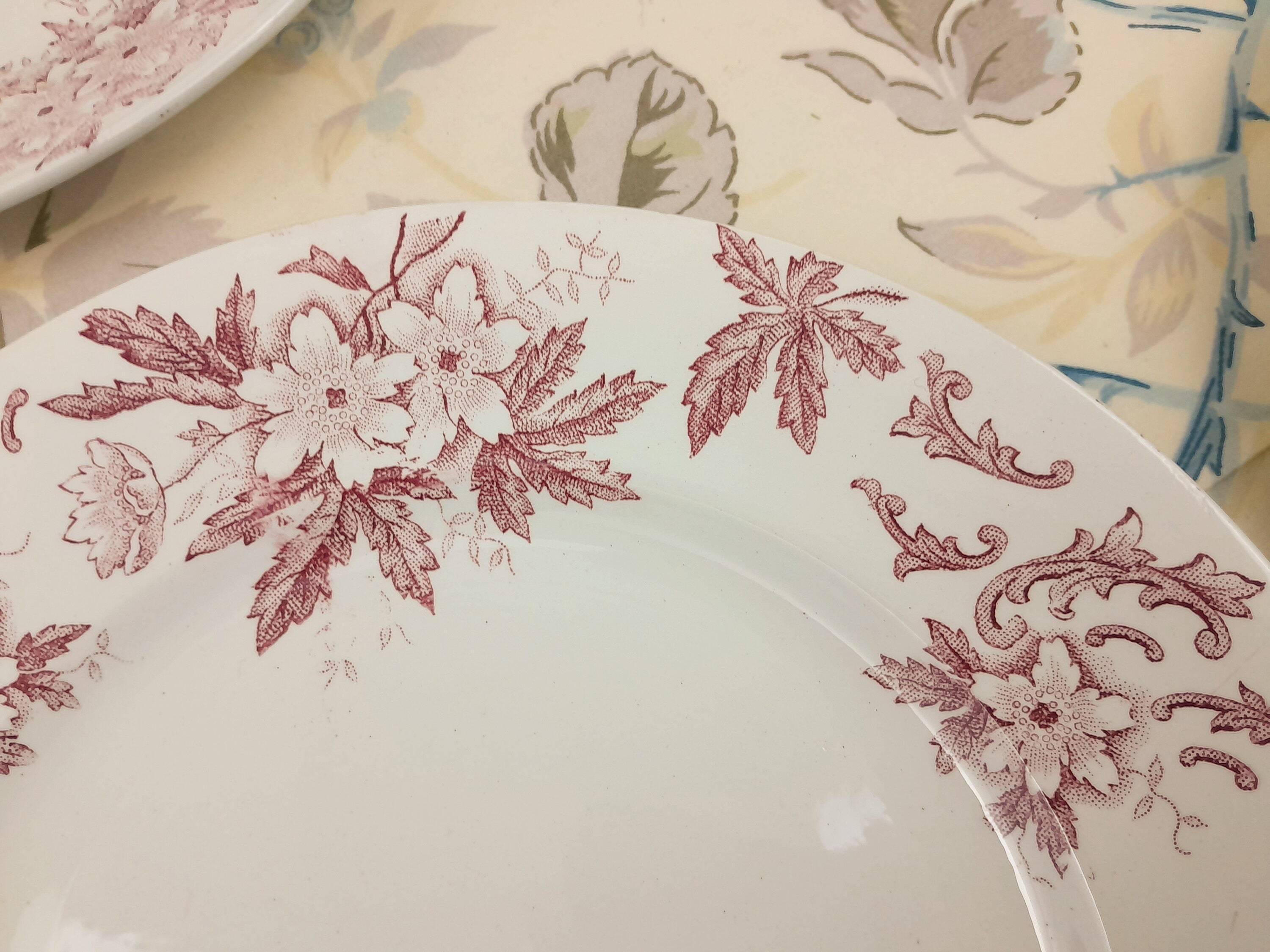 6 Amandinoise Anemone flat plates