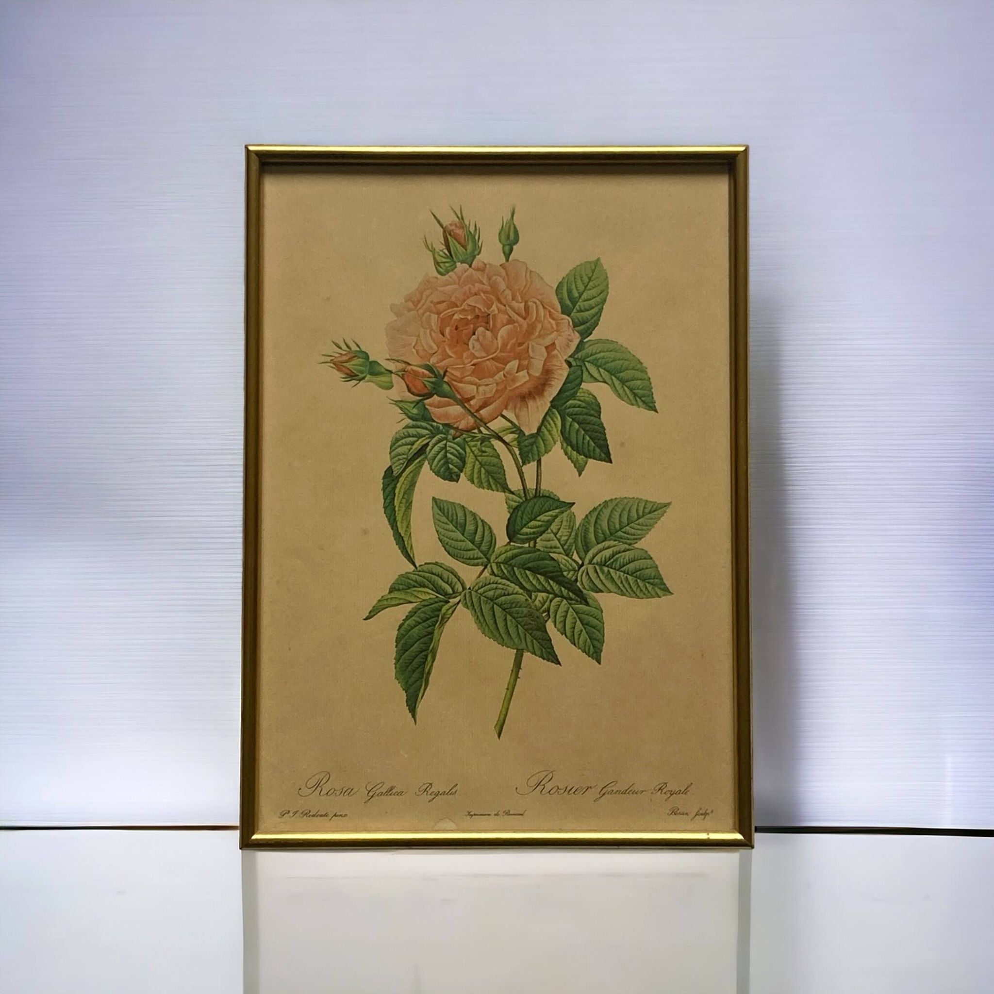Lithographie ancienne rose encadrée sous verre imprimerie de Remond ACC-7058