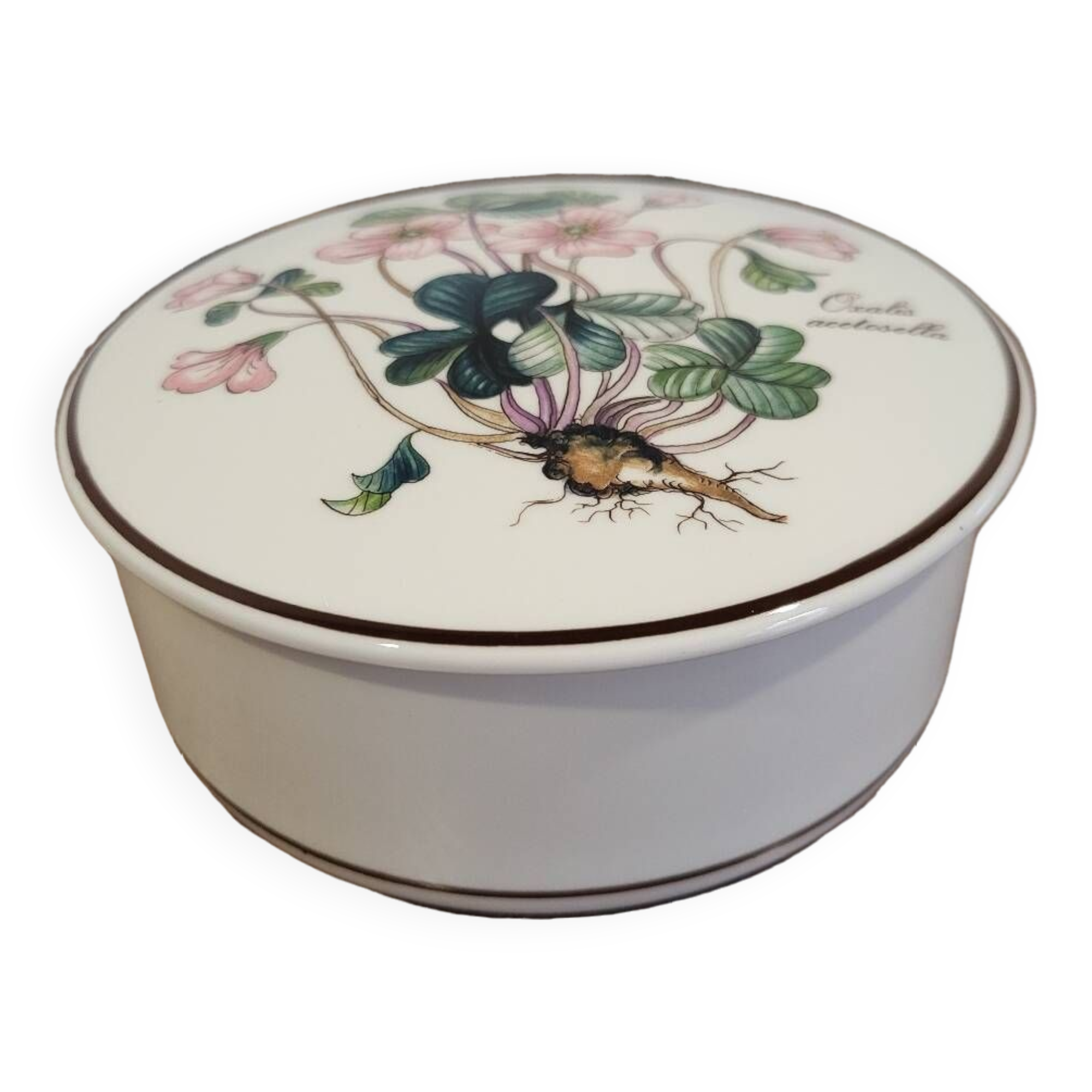 Botanica Villeroy and Boch Box