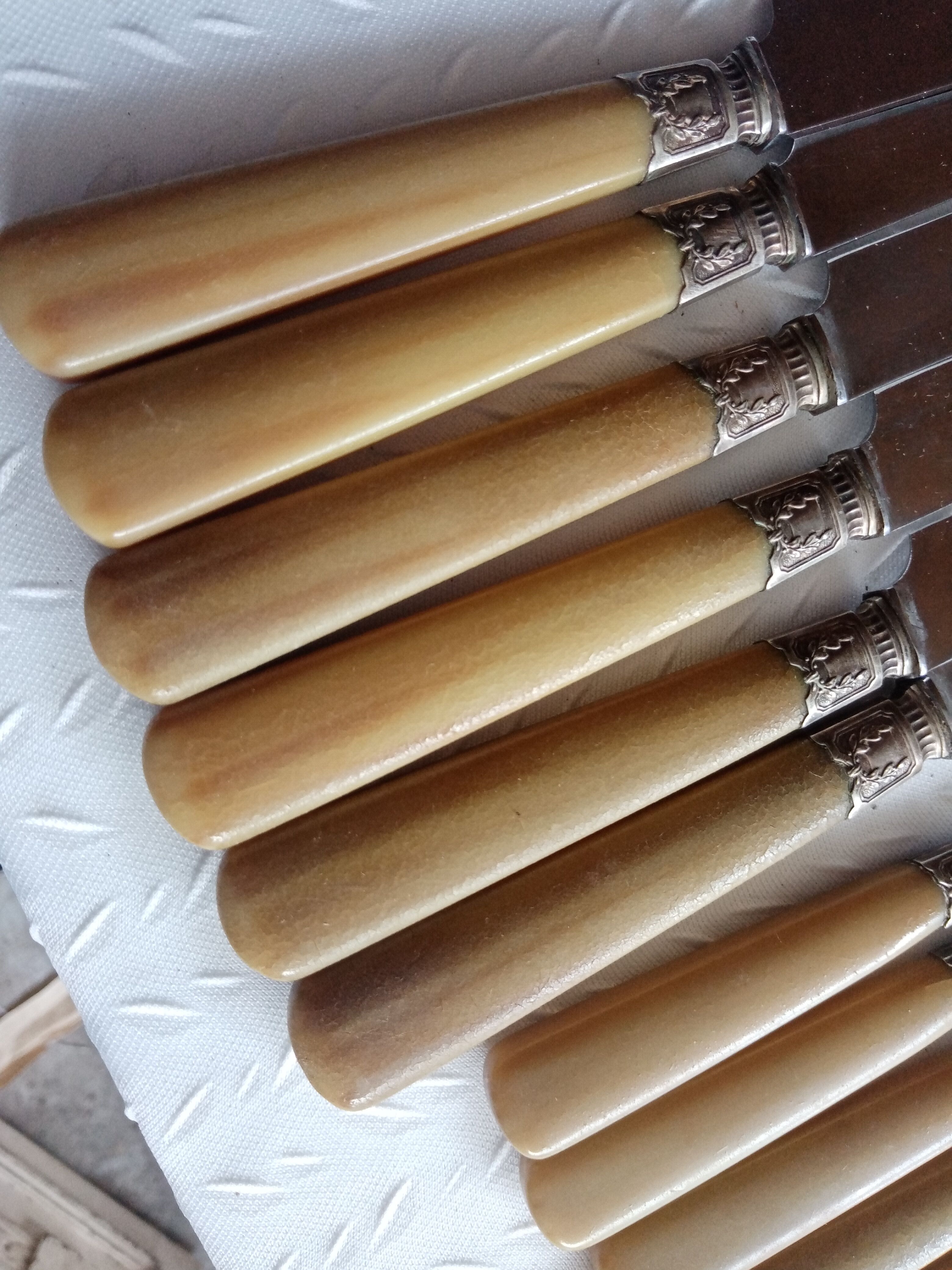 12 Old horn knives and stainless steel blades, Laurier decorative virole