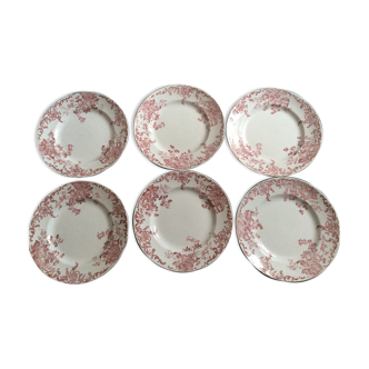 Lot of 6 plates iron land red campanule
