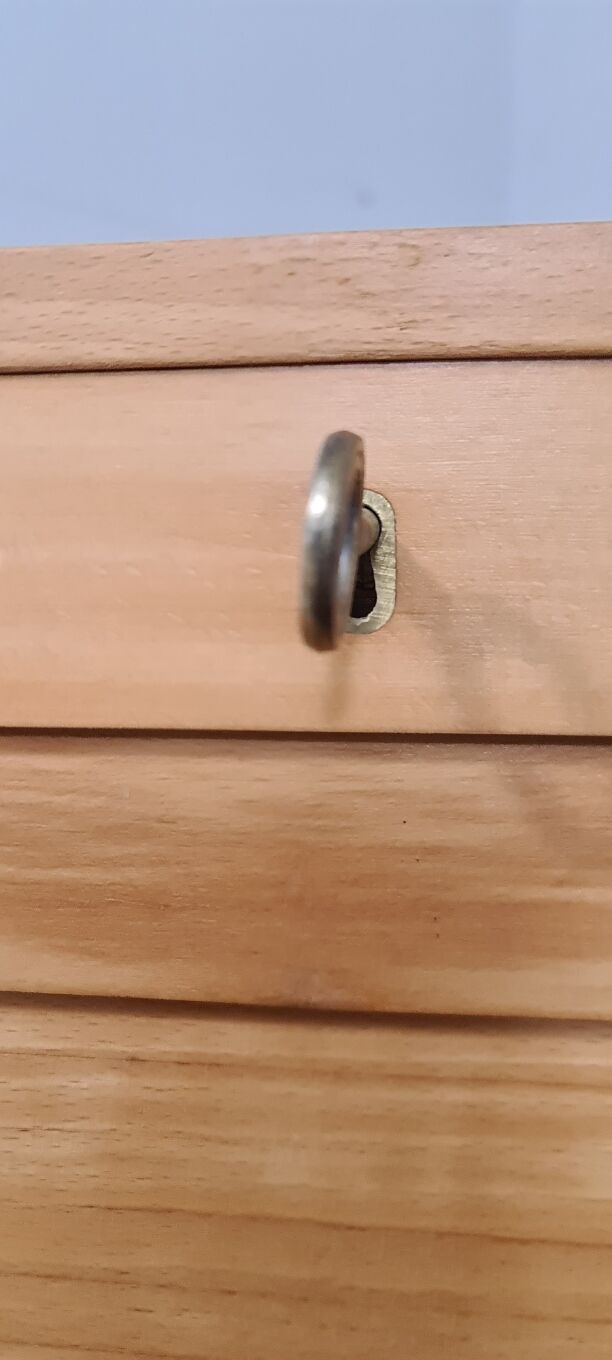 Vintage roll front cabinet by Wini