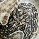 Plat le Vieux Moulin in Vallauris, Perot, Malarmey, 1950s-1960s