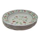 6 Digoin and Sarreguemines soup plates