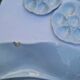 Set of 6 shell plates