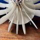 Vintage Raak Bolide Wall Light (B 1095) 1971 - Designer Hermian Sneyders