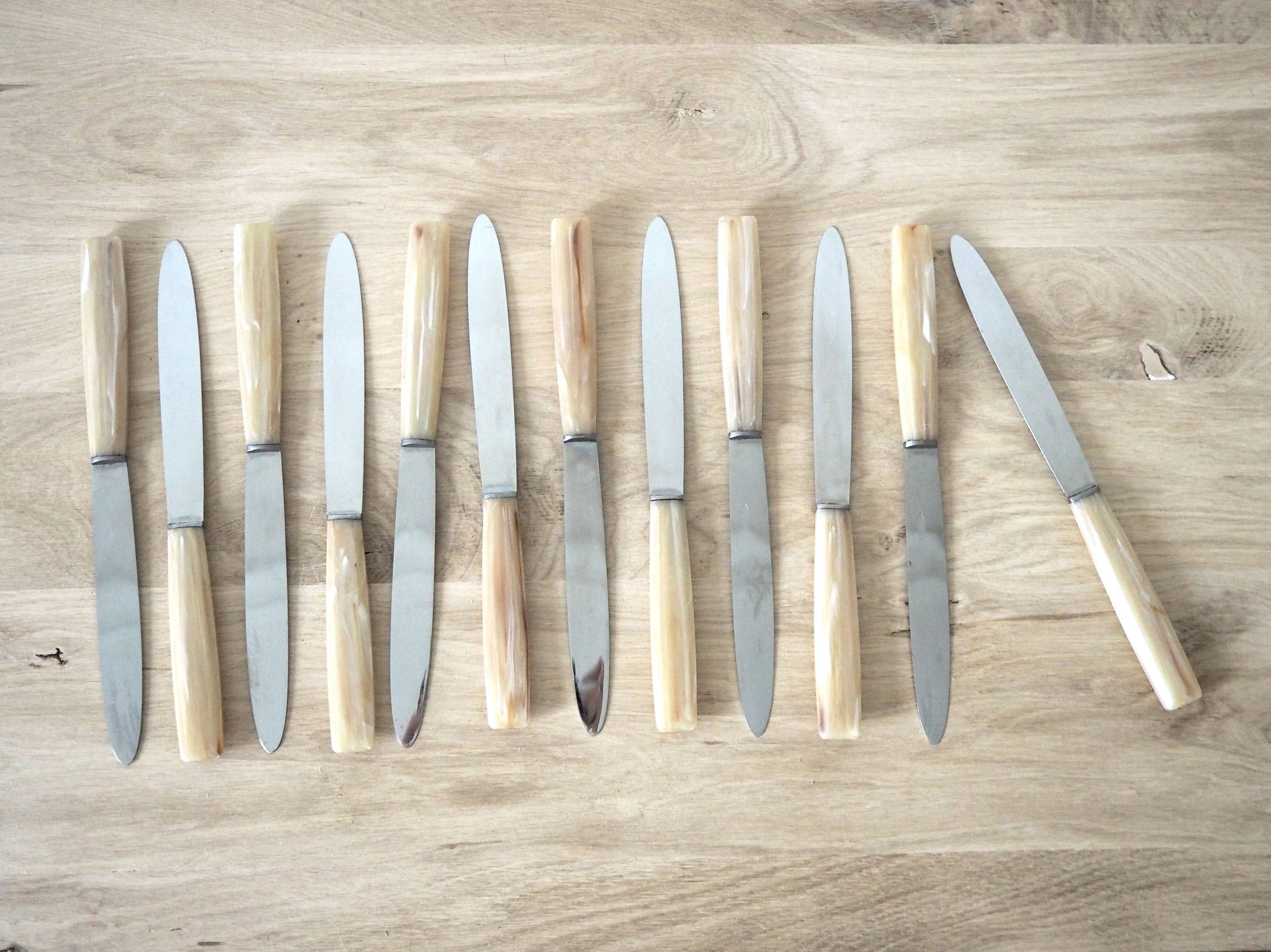 Set de 12 couteaux avec manches effet corne dans leur coffret
