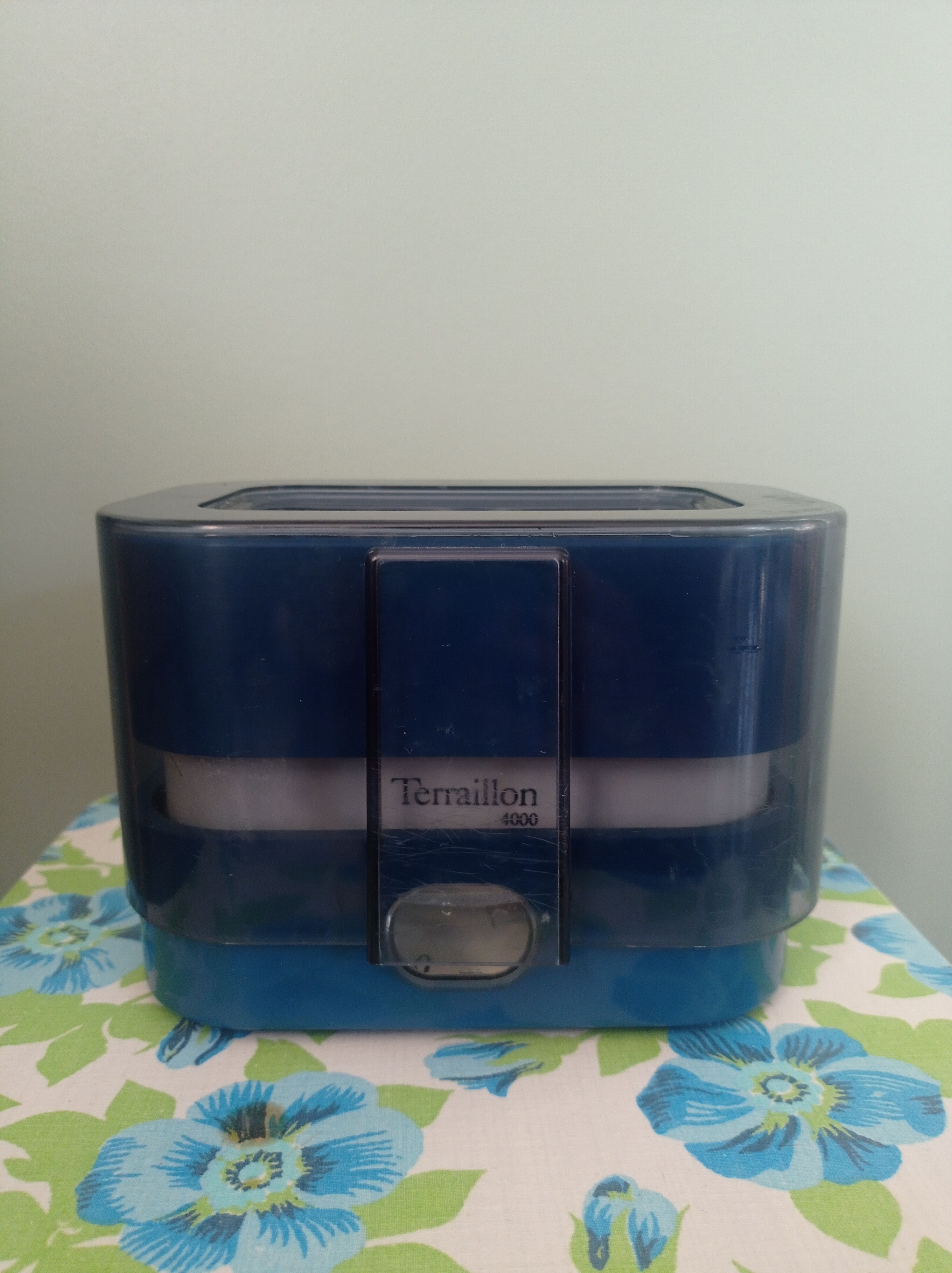 Vintage Terraillon scale