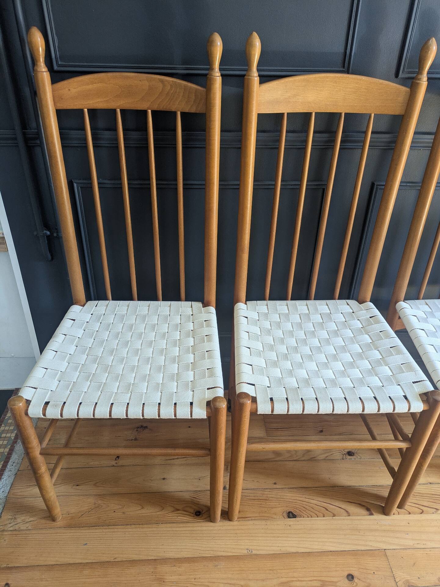 Rare ensemble de six chaises modele"Racine" de Roche Bobois.