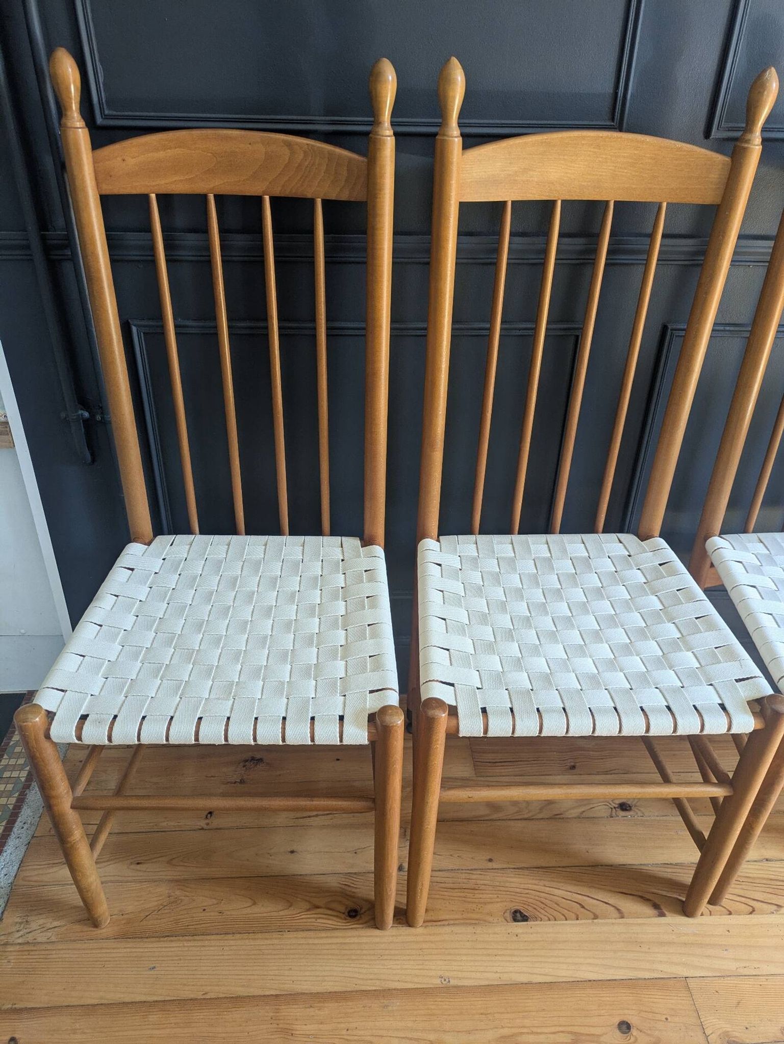 Rare ensemble de six chaises modele"Racine" de Roche Bobois.